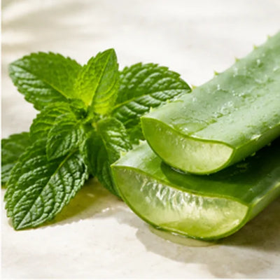 PEPPERMINT + ALOE VERA